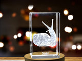 3D Engraved Crystal Snail Spirals Keepsake - Captivating Artistry & Meticulous Craftsmanship A&B Crystal Collection