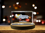 3D Engraved Crystal Cricket Sculpture - Perfect Nature Lover's Gift
