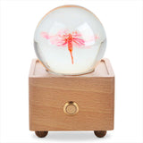 Real Preserved Flower Wireless Bluetooth Speaker, LED Night Light in Glass Dome Sakura Flower A&B Crystal Collection