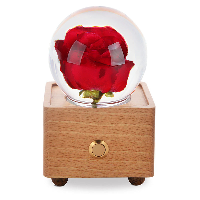 a red rose in a glass ball on a wooden stand