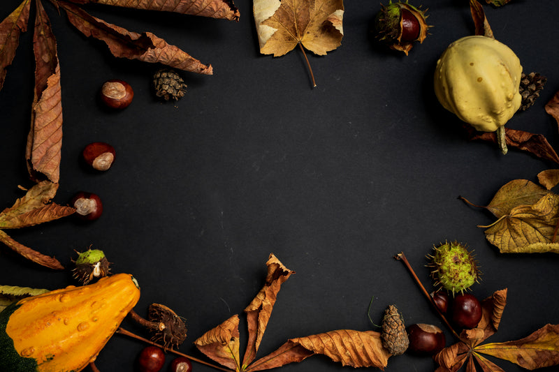 American Thanksgiving: A Tapestry of Cherished Traditions
