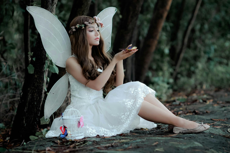 Unique Butterfly Crystal Collection: Nature's Beauty Captured in 3D Crystal Perfection
