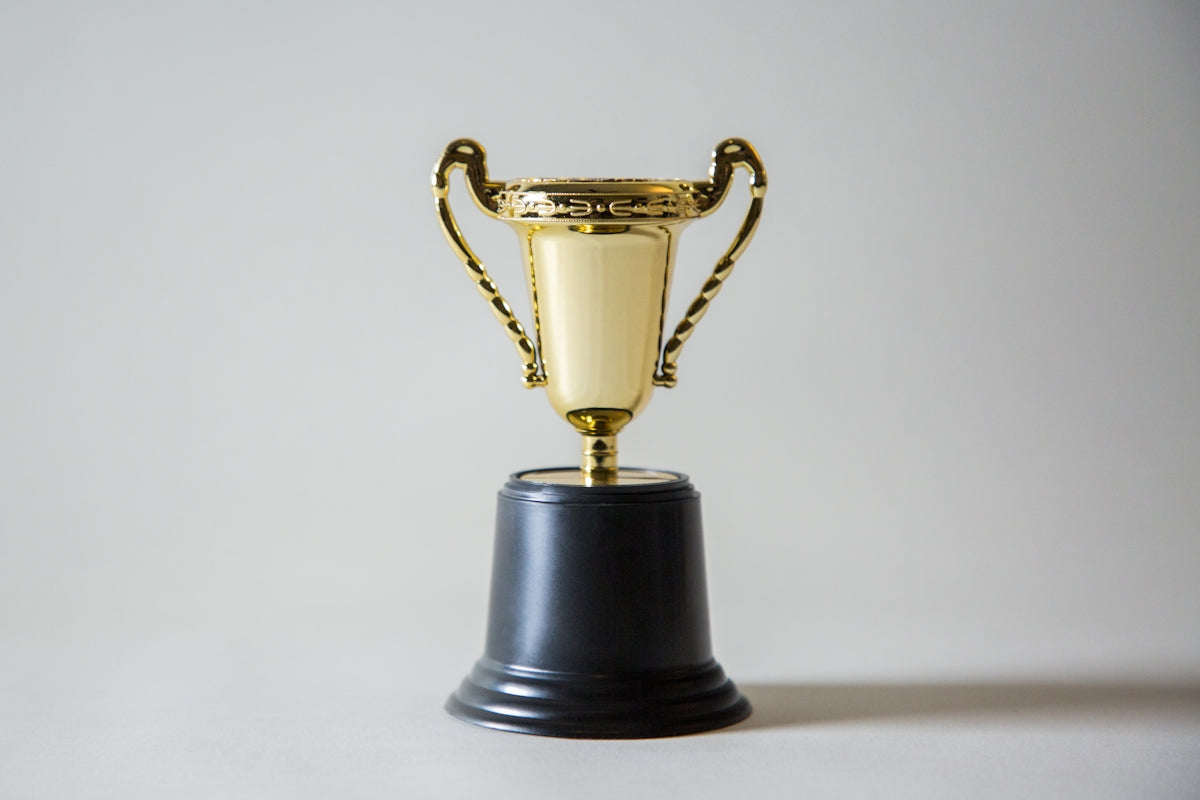 How to Choose the Perfect 3D Crystal Recognition Trophy for Awards Ceremonies