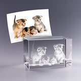 Pet Personalized 3D Crystal A&B Crystal Collection