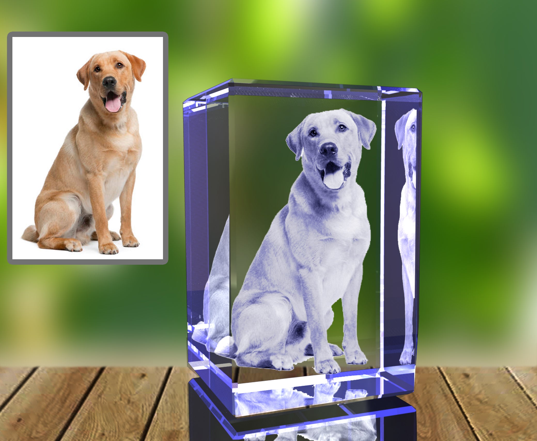 Pets Accessories Bundle - 10 Must-Have Essentials for Your Furry Friends AB Crystal Collection