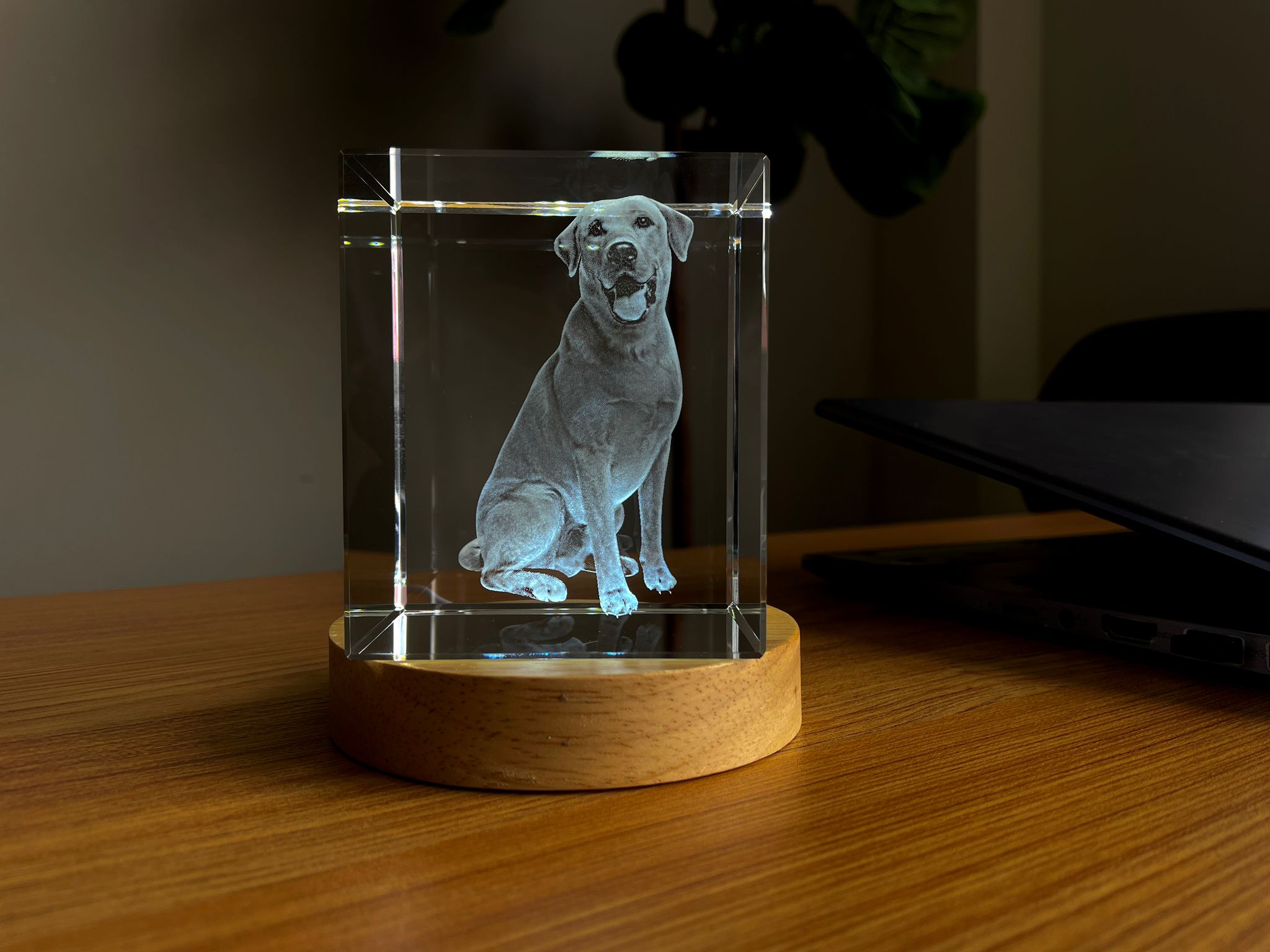 Pet Personalized 3D Crystal - Customizable Sizes & Shapes Rectangle Small With LED Base A&B Crystal Collection