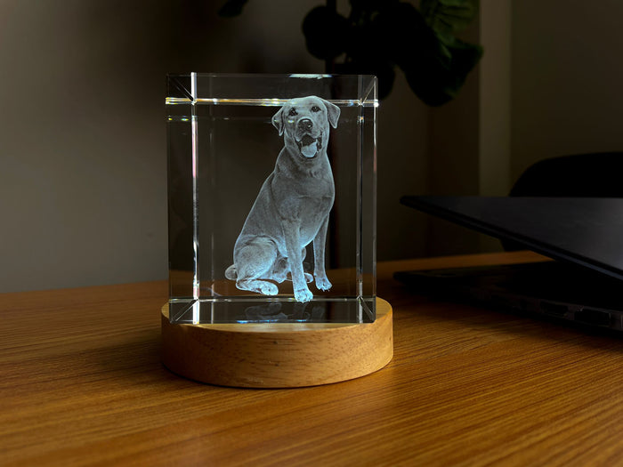 Pet Personalized 3D Crystal