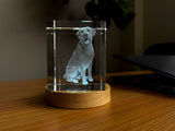 Pet Personalized 3D Crystal - Customizable Sizes & Shapes
