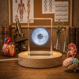 Eye Pupil 3D Engraved Crystal Trophy Award — Made in Canada - Custom Award From A&B Crystal Collection