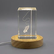 Cat Feather Teaser Wand Gift 3D Engraved Crystal — Made in Canada