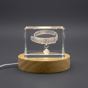 3D Engraved Crystal Dog Collar Gift