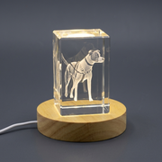 3D Engraved Crystal Dog Harness Gift
