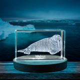 Walrus Trophy Recognition Award | Ocean Guardian 3D Engraved Crystal Keepsake with LED Base Light - Custom Award From A&B Crystal Collection