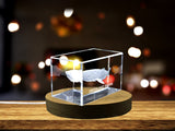 Captivating 3D Engraved Crystal | Greenland Shark A&B Crystal Collection