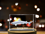 Striking 3D Engraved Crystal | Blacktip Shark A&B Crystal Collection