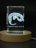 Snakes 3D Engraved Crystal  | Gaboon Viper Snake
