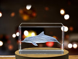 Guiana Dolphin Crystal Engraving - Beautifully Carved Marine Mammal Decor A&B Crystal Collection