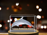 Common Bottlenose Dolphin Crystal Engraving - Elegantly Carved Marine Mammal Decorative Sculpture A&B Crystal Collection