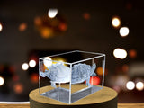 Pond Slider Turtle Engraved Crystal Paperweight - Common Yet Captivating Freshwater Species Replica A&B Crystal Collection