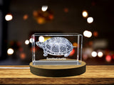 Spotted Turtle Engraved Crystal Paperweight - Amazingly Camouflaged Freshwater Species Replica