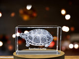 Spotted Turtle Engraved Crystal Paperweight - Amazingly Camouflaged Freshwater Species Replica A&B Crystal Collection