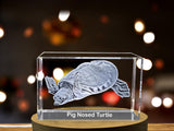 Pig-Nosed Turtle Engraved Crystal Paperweight - Unique Australian Freshwater Reptile Replica A&B Crystal Collection