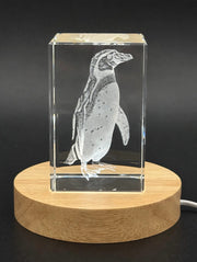 Humboldt Penguin 3D Engraved Crystal Gift — Made in Canada
