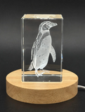 Humboldt Penguin 3D Engraved Crystal Gift