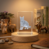 Recognition Unique 3D Engraved Cat Trophy Award Crystal With LED Base - Perfect Gift For Cat Lovers