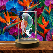 Collared Lory 3D Engraved Crystal Trophy Award - Unique Recognition Keepsake with LED Base Light