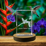 Violet-Tailed Sylph Crystal Recognition Award - 3D Engraved Keepsake for Bird Lovers - Custom Award From A&B Crystal Collection