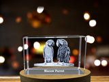 Vivacious Crystal Macaw Sculpture - A Feathered Masterpiece of Miniature Realism A&B Crystal Collection