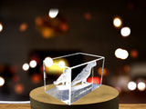 Vivacious Crystal Jardine's Parrot Sculpture - A Masterful Feathered Portrait A&B Crystal Collection