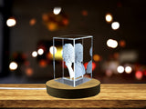 Unique Jean Jacques Rousseau 3D Engraved Crystal Portrait Gift for Admirers of Political Philosophy A&B Crystal Collection