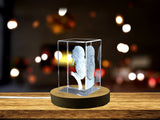 Gorgeous Platon 3D Engraved Crystal Gift for Special Occasions A&B Crystal Collection