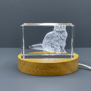 Persian Longhair Cat 3D Engraved Crystal Sculpture Award — Made in Canada