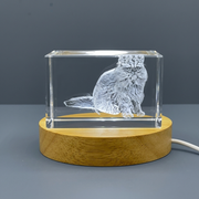 Persian Longhair Cat 3D Engraved Crystal Sculpture Award With LED Base Light Recognition
