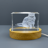 Persian Longhair Cat 3D Engraved Crystal Sculpture Award With LED Base Light Recognition