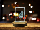 Elegant American Shorthair Cat Recognition Trophy Award - 3D Engraved Crystal with LED Base