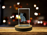 Korat Cat Trophy Recognition Award - Elegant 3D Crystal Sculpture with Free LED Base Light - Handmade in Canada
