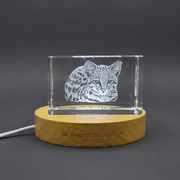 Oncilla Cat Crystal Trophy Award Recognition - Handcrafted Feline Sculpture with LED Base