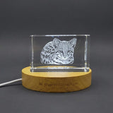 Oncilla Cat 3D Engraved Crystal Trophy Award Recognition — Made in Canada