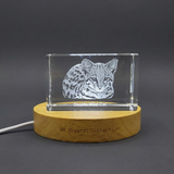 Oncilla Cat Crystal Trophy Award Recognition - Handcrafted Feline Sculpture with LED Base
