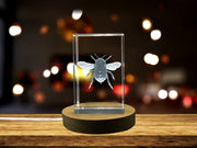 Bombus Lapidarius Bumblebee Recognition 3D Crystal Trophy Award with LED Base - Nature Gift