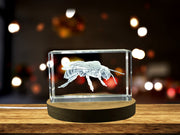 Unique Squash Bee 3D Engraved Crystal Award Recognition - Eco-Friendly Gift for Nature Enthusiasts