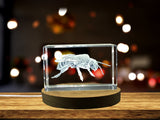 Unique Squash Bee 3D Engraved Crystal Award Recognition - Eco-Friendly Gift for Nature Enthusiasts - Custom Award From A&B Crystal Collection