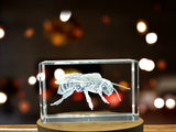 Unique Squash Bee 3D Engraved Crystal Award Recognition - Eco-Friendly Gift for Nature Enthusiasts - Custom Award From A&B Crystal Collection
