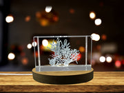 Nutrient-Rich Algae Recognition: 3D Engraved Crystal Dulse With Free LED Base Light