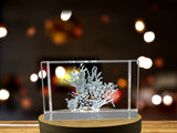 Nutrient-Rich Algae Recognition: 3D Engraved Crystal Dulse With Free LED Base Light - Custom Award From A&B Crystal Collection