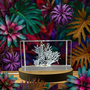 3D Engraved Crystal Dulse With Free LED Base Light
